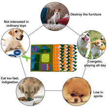 Load image into Gallery viewer, Dog Activity Snuffle Mat