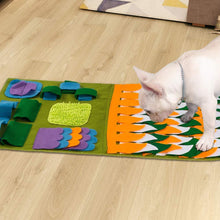 Load image into Gallery viewer, Dog Activity Snuffle Mat