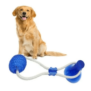 Suction Molar Bite Toy For Dogs