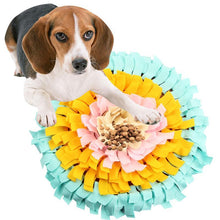 Load image into Gallery viewer, Dog Activity Snuffle Mat