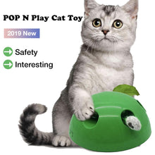 Load image into Gallery viewer, CAT POP N PLAY TOY