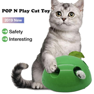 CAT POP N PLAY TOY