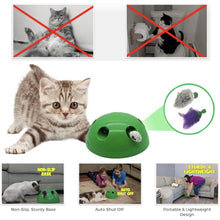 Load image into Gallery viewer, CAT POP N PLAY TOY