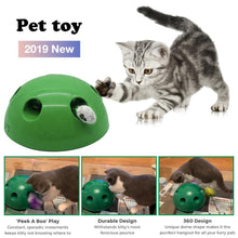 Load image into Gallery viewer, CAT POP N PLAY TOY