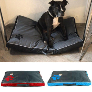 Bed Cushions for Large Dogs