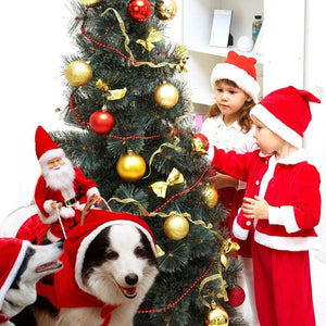 Santa Dog costume