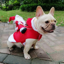 Load image into Gallery viewer, Santa Dog costume