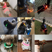 Load image into Gallery viewer, USB Charging Pet Dog Collar