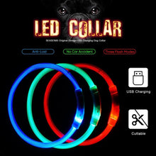 Load image into Gallery viewer, USB Charging Pet Dog Collar