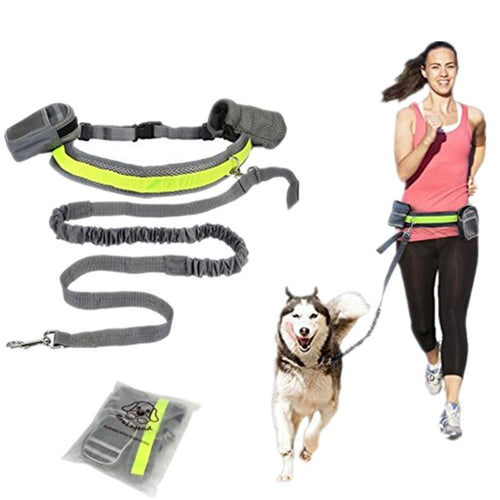 Hand-Free Elastic Puppy Leash