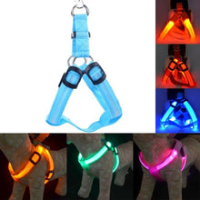 Load image into Gallery viewer, Rechargeable LED Nylon Pet Dog Cat Harness Led Flashing Light Harness Collar Pet Safety Led Leash Rope Belt Dog Accessories