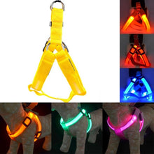 Load image into Gallery viewer, Rechargeable LED Nylon Pet Dog Cat Harness Led Flashing Light Harness Collar Pet Safety Led Leash Rope Belt Dog Accessories