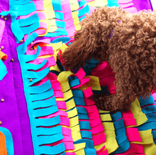 Load image into Gallery viewer, Dog Activity Snuffle Mat