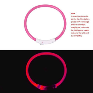 USB Charging Pet Dog Collar