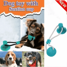 Load image into Gallery viewer, Suction Molar Bite Toy For Dogs