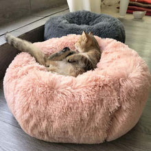 Load image into Gallery viewer, Comfy Calming Dog/Cat Bed