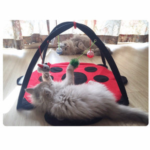 Pet Play Tent Bed | Dog and Cat play bed with colorful hanging toys |