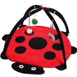 Pet Play Tent Bed | Dog and Cat play bed with colorful hanging toys |