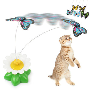 Cute electric butterfly/bird Cat teaser toy