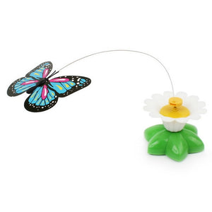 Cute electric butterfly/bird Cat teaser toy