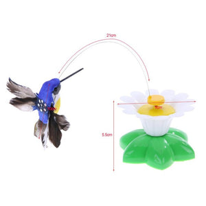 Cute electric butterfly/bird Cat teaser toy