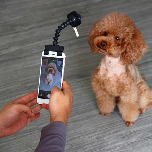 Luxury Pet Selfie Stick for Dogs Cat photography