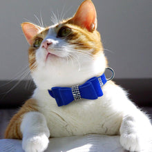 Load image into Gallery viewer, CHIC Rhinestone Pet Collar [GIVE YOUR DOG OR CAT SOME BLING]