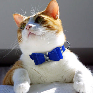 CHIC Rhinestone Pet Collar [GIVE YOUR DOG OR CAT SOME BLING]