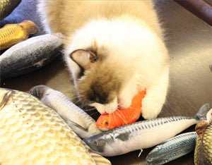 Fish Shaped Cat Toy