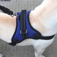 Load image into Gallery viewer, Adjustable Dog Harness