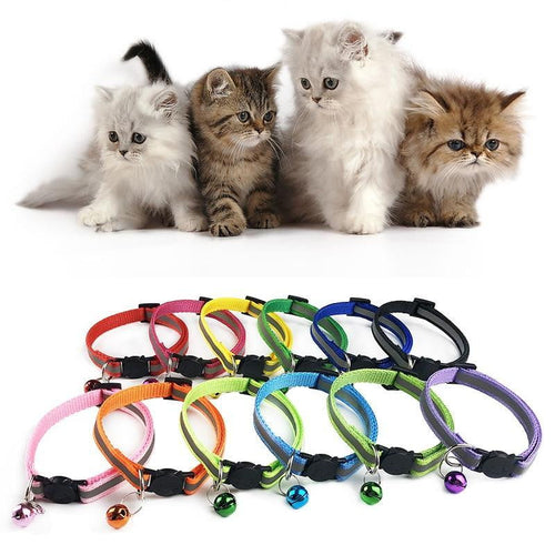 Cat Breakaway Collar with Bell