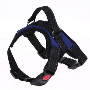 Adjustable Dog Harness