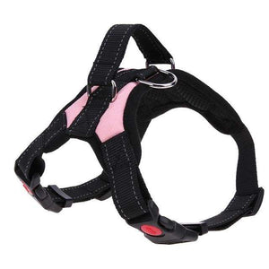 Adjustable Dog Harness